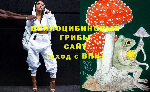 гидропоника Алзамай
