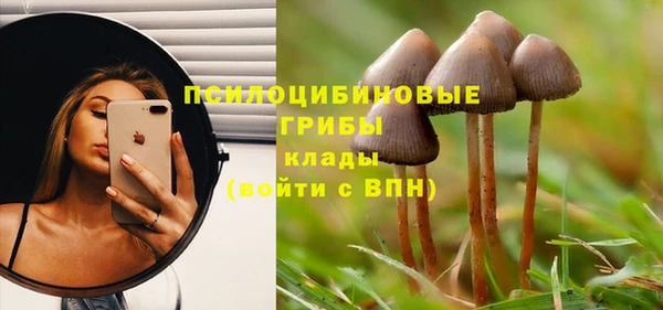гидропоника Алзамай