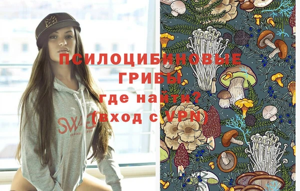 первитин Алексин