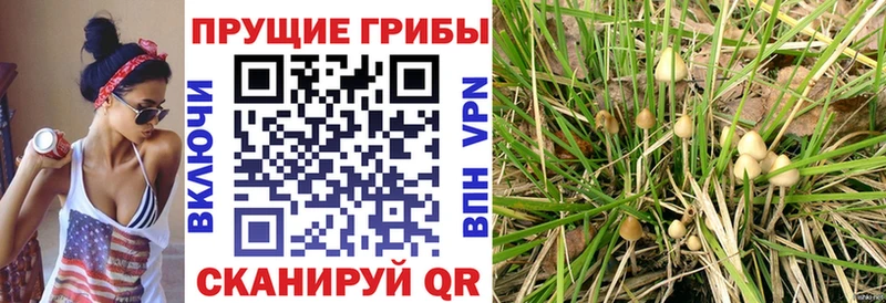 Псилоцибиновые грибы мухоморы  Цивильск 